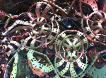 whorlpaper3D-215